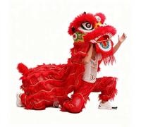 Espectáculos Al Aire Libre De Danza Del León y Del Dragón, Disfraces Festivos y Festivales Tradicionales de Año Nuevo(Red,L)