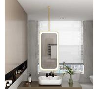 Espejo Colgante Ovalado con Iluminación LED Integrada (Regulable En Tres Colores) | De Maquillaje Y Afeitado For Baño | Varilla Metal Personalizable Disponible(Gold,60x100cm)