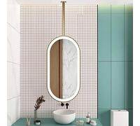 Espejo de tocador LED suspendido del techo, espejo de baño ovalado con iluminación ajustable y barra de metal negro para colgar, ideal para baños, hoteles y salones de belleza (dorado, 40 x 60 cm).