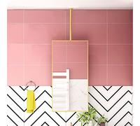 Espejo de Varilla para Colgar 40 cm x 70 cm 50 cm x 70 cm Espejo Rectangular Dorado montado en el Techo para baño Baño Entrada Dormitorio Guardarropa Espejo Decorativo para el hogar (Size :