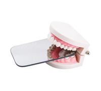 Espejo dental Espejo de boca de 2 caras Espejo oclusal Espejo intraoral Reflector de ortodoncia dental de acero