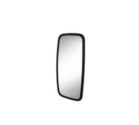 Espejo Exterior Bilateral 200 Mm Ø 18 Mm Negro HELLA Para MERCEDES-BENZ NG