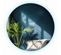 Espejo Redondo Clásico con Luz LED Blanco Frío Ø 40 cm para Sala de Estar con Iluminación Integrada Colgable Sin Marco