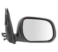 Espejo retrovisor exterior derecha abatible eléctricamente 5402-19-2002530P BLIC