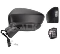 Carrocería / Ventanilla / Pintura > Retrovisor exterior > Retrovisor exterior