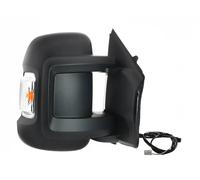 TYC 309-0198 Espejo retrovisor