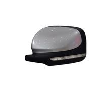 Espejo Retrovisor Externo Para JMC Para Vigus 7 Para Pickup Espejo Retrovisor Lateral Puerta Exterior Conjunto(Grey Left)