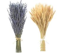 Espigas de Trigo Secas&Lavanda Seca Flores Secas Naturales Deco DIY Ramo de Flores Secas,Ramo de Hierba de la Pampa Flor de Caña Deco Ideal para Boho Salón Dormitorio