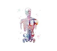 Espina huesos de los pies del pie esqueleto acuarelas arte la acuarela pintura cartel Anatomía Medicina Fotos Clínica Medical Office Decoración hogar(B,60X80CM No Frame)