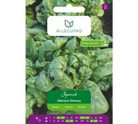 Espinaca gigante de invierno