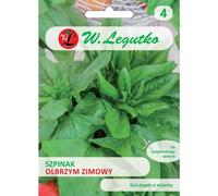 Espinaca gigante de invierno