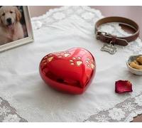 eSplanade Urna de cremación de Mascotas Urnas conmemorativas Contenedor Frasco para recipientes | Urna De Latón | Urna de Metal | Urna de entierro | Recuerdo conmemorativo (Rojo en la Caja)