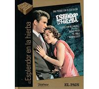 ESPLENDOR EN LA HIERBA DVD LIBRO Splendor in the Grass
