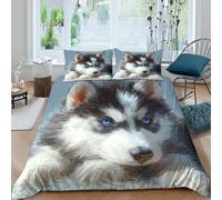 ESPLJQRYX Cute Animal Illustration Funda de Edredón Suave Juego de 3 Piezas Estampado 3D Cute Animal ilustración Funda Edredon Incluye Fundas de Almohada Transpirable for niños Super King（260x220cm）