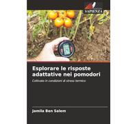 Esplorare le risposte adattative nei pomodori: Coltivato in condizioni di stress termico