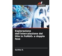 Esplorazione dell'intercalazione del litio in FeNbO¿ a doppia fase