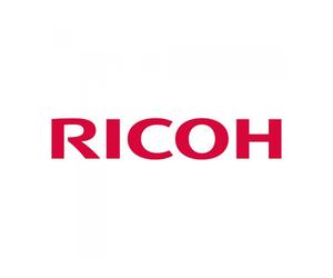 Esponja absorbente ricoh ri 100 24 unidades