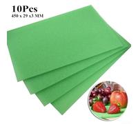 Esponja antiputrefacción, 45 x 29 cm, para compartimento frigorífico de | Tamaño 450 x 290 mm, se adapta a la mayoría de cajones, protege de puntos de presión, verde, material duradero