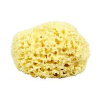 Esponja de lana marina natural Neptune - Esponja marina renovable de panal totalmente natural, tama o extragrande, aprox. 15 cm