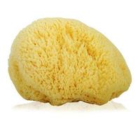 Esponja de mar grande de seda griega natural de alta calidad para baño de bebé