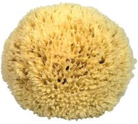 Esponja natural del Mediterráneo para el cuerpo, no sintética (14-15 CM con CORDÓN -)