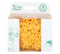 Esponja natural en caja de regalo ecológica