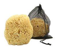 Esponja Real Sea para hombres, extra grande de 6 a 7 pulgadas, totalmente natural, agradable en la piel para una ducha vigorizante, se suministra en..