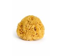 Esponja Real Sea para hombres, extra grande de 6 a 7 pulgadas, totalmente natural, agradable en la piel para una ducha vigorizante, se suministra en..