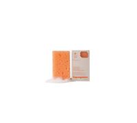 Esponjabon, salicylic acid, cleansing & hydrating, soap & sponge 2-in-