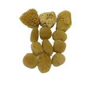 Esponjas suaves de seda marina natural, paquete de 12 unidades, cosméticos de 1.5 a 3 pulgadas, aplicación y eliminación de maquillaje, limpieza de uñas y ojos, como bolas de algodón, Awesome Aquatic