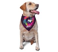 Esports - Bufanda triangular con logotipo de Husky con estampado de arco iris para perros y gatos, bandana ajustable para mascotas y sesiones de fotos