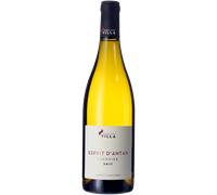 Esprit d'Antan Blanc 2023 - Pierre-Jean Villa