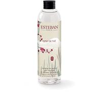 Esprit de Thé 250 ml recarga Esteban