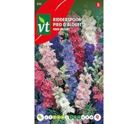 Espuelas de caballero, Delphinium - Colores mixtos - semillas de flores