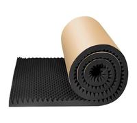 Espuma Acústica Espuma Insonorizante Con Aislamiento Acústico De 5m/rollo, Paneles De Espuma Acústica Autoadhesivos De 3cm De Espesor For El Hogar/estudio, Fácil De Cortar (Color : Black, Size : 25m