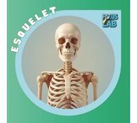Esquelet humà: les 10 peces òssies més comunes, guia il·lustrada per a infants