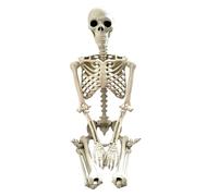 Esqueleto de tamaño natural - Articulaciones móviles, decoración de figuras de esqueletos humanos, resistente a la intemperie, exhibición de patio exterior, accesorios fotográficos espeluznantes |