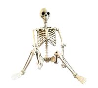 Esqueleto Halloween tamaño natural 91 cm Accesorios realistas articulados