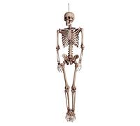 Esqueleto Skeleton decoración (160 cm)