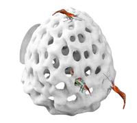 ESQUEMA DE GRACHI - Cueva del tanque de peces, accesorios para decoración acuática | 'acuario betta criadas casas, cuevas de acuario y pieles con diseño de barril para tanques de peces