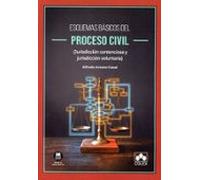 Esquemas Básicos Del Proceso Civil (jurisdicción Contenciosa Y Ju Risd