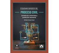Esquemas básicos del proceso civil (jurisdicción contenciosa y jurisdicción voluntaria) (monografico)