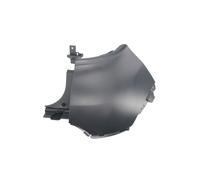 Esquina de parachoques BLIC 5506-00-6009962Q