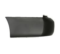 Esquina de parachoques BLIC 5508-00-0559963P