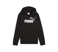 ESS 2 Color No. 1 Logo Hoodie FL B