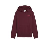 ESS 2 Color Small No. 1 Logo Hoodie FL B