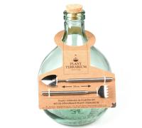 Esschert Design 5 Litros Plantas Terrarium Starter Set Cristal Invernadero Casa