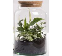 Esschert Design Terrario Semiabierto Botella De Vidrio 7 L Con Kork