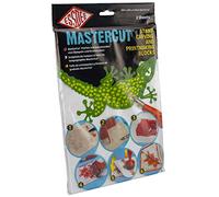 Essdee Mastercut Carving Bloque 300 x 200 mm x4 (Juego de 2 Bloques)