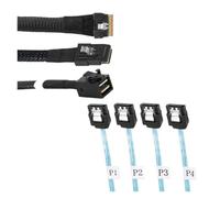 ESSEIEIE Mini SAS Interno SFF-8087/SFF8643 SlimSAS SFF8654 Host for apuntar a 4 SATA 3,0 Disco Duro Placa Base Servidor Datos Fanout Raid Cable(1m,SFF-8654 to 4SATA)